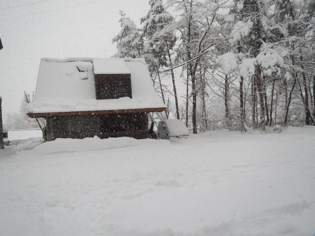 马利翁奈特旅馆 山林小屋